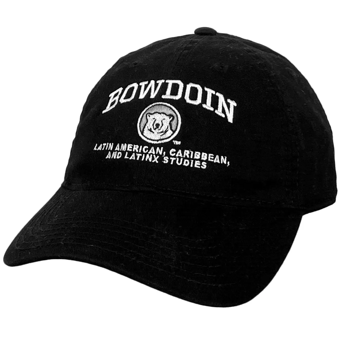 Bowdoin Academics Hat