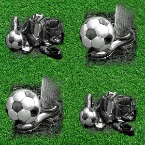 Sports Fabric, Soccer Fabric, Shoes, Ball and Equipment 1257